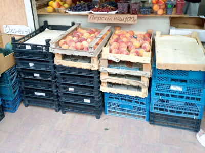 Крым — «Таврида» — Горловка: как добраться без проблем и насладиться отдыхом в разгар сезона