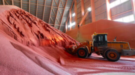 Урожай под защитой: как в России развивается производство агрохимии