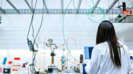 Качественный рост: как государство помогает развиваться малому бизнесу